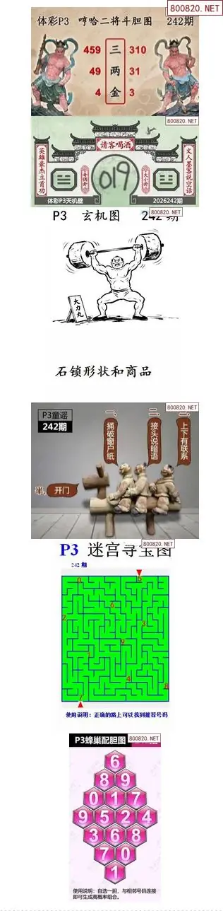 蜂巢天机图谜