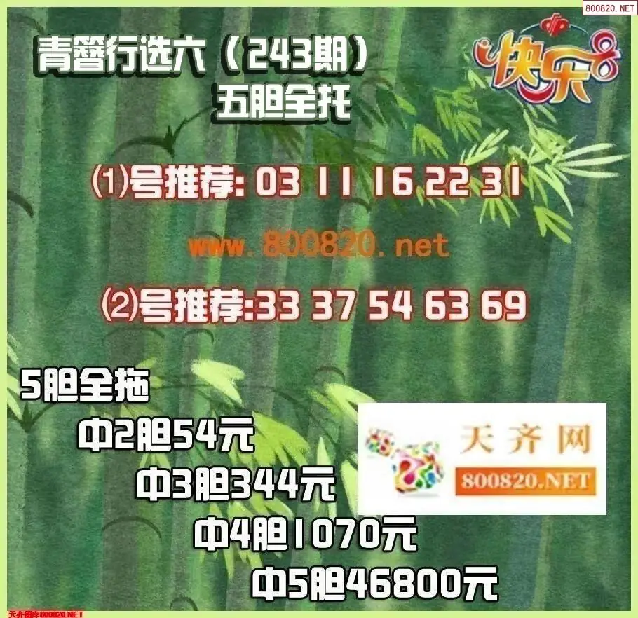 青簪行胆拖图