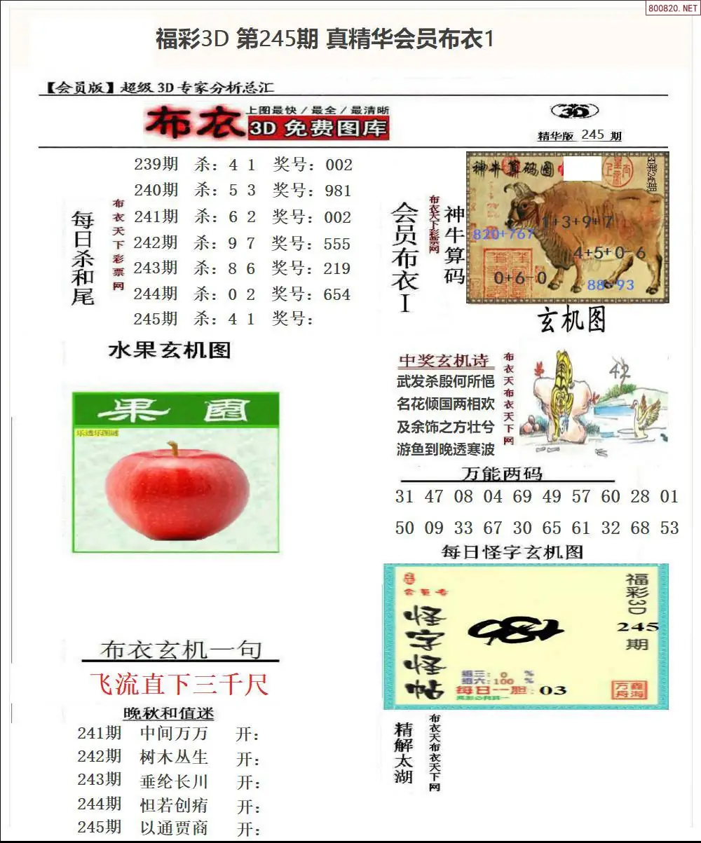 真精华会员布衣1