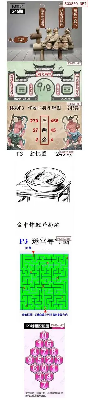 蜂巢天机图谜