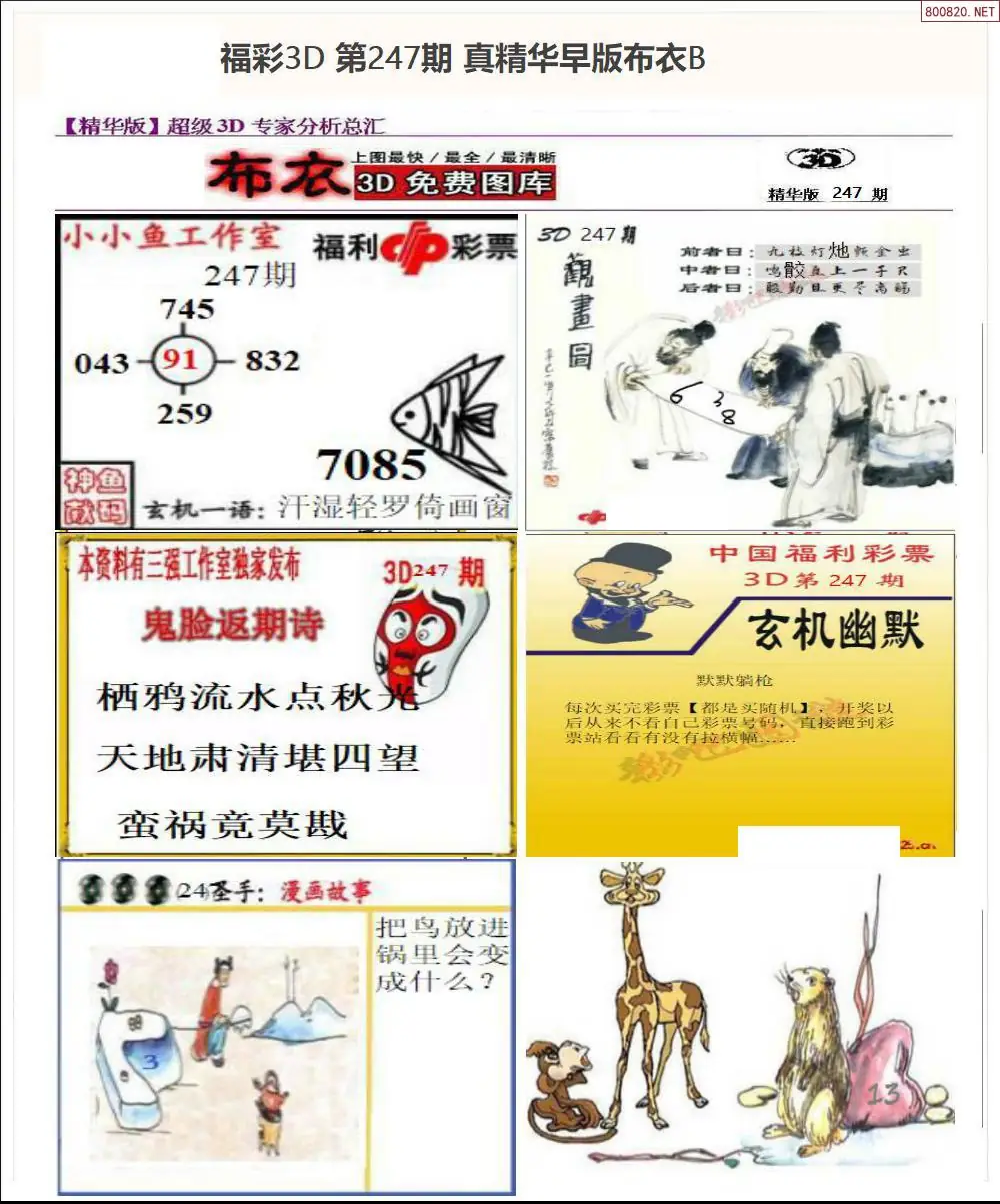 真精华早版布衣B