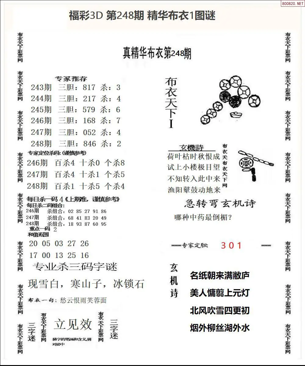 精华布衣1