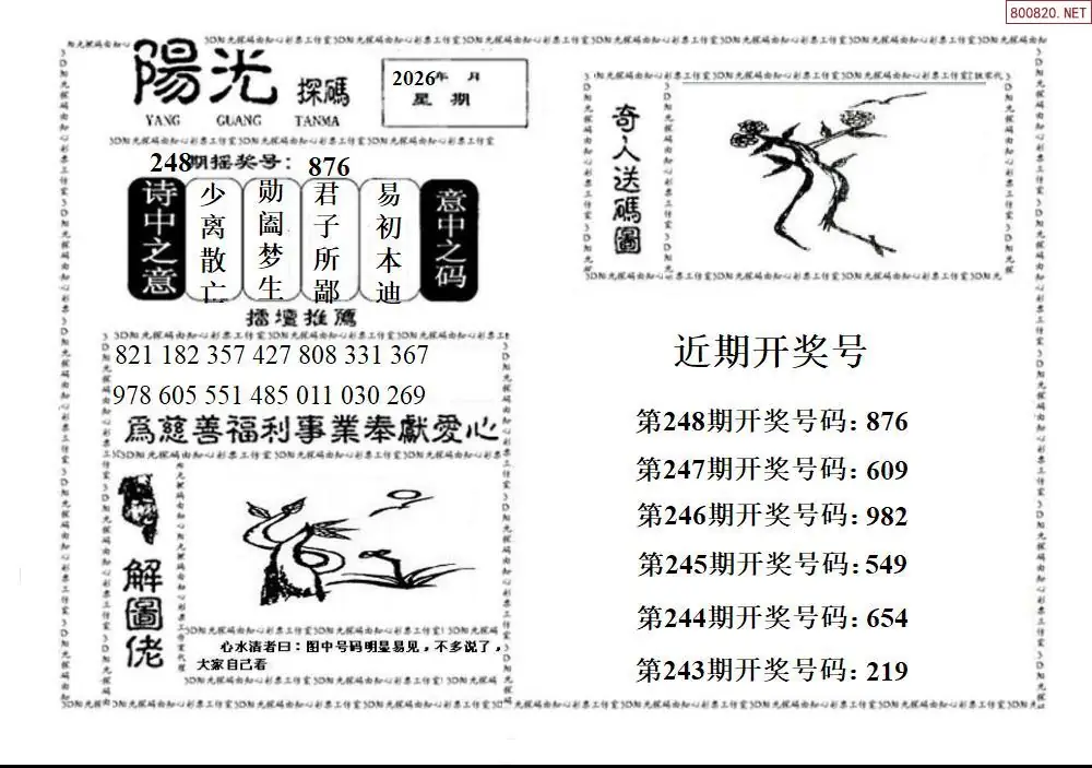 3D阳光探码