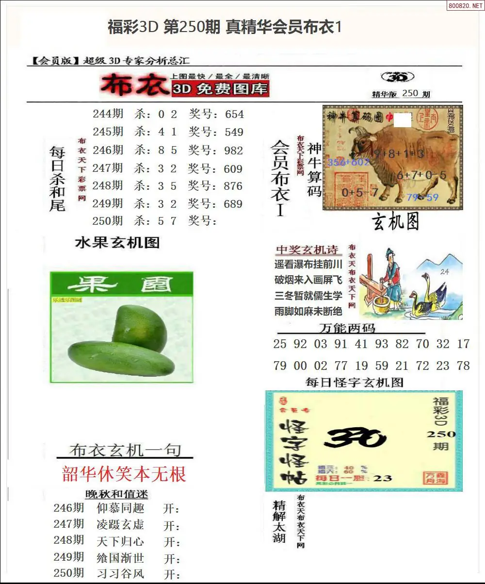 真精华会员布衣1