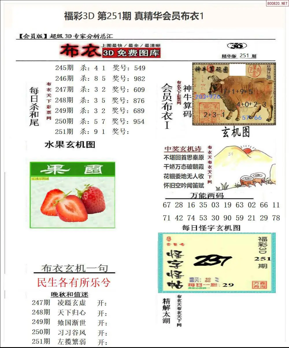 真精华会员布衣1