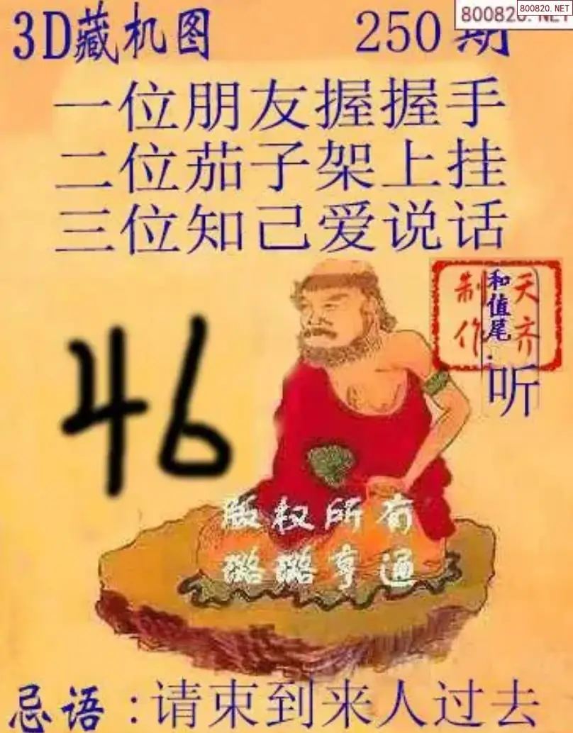 天齐3D藏机图