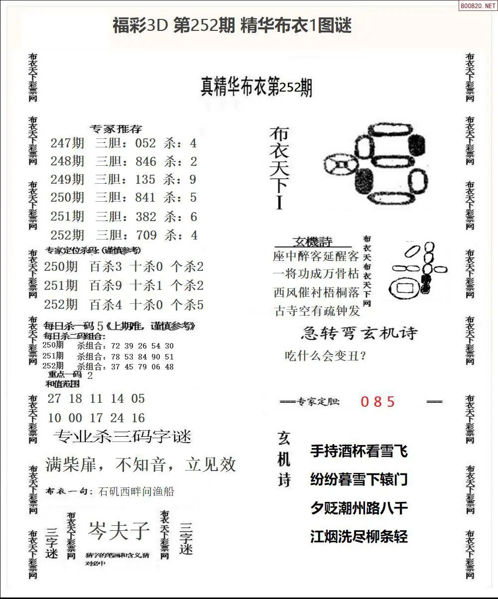 A33精华布衣1