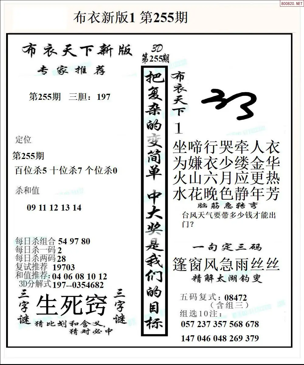 A51新版布衣1