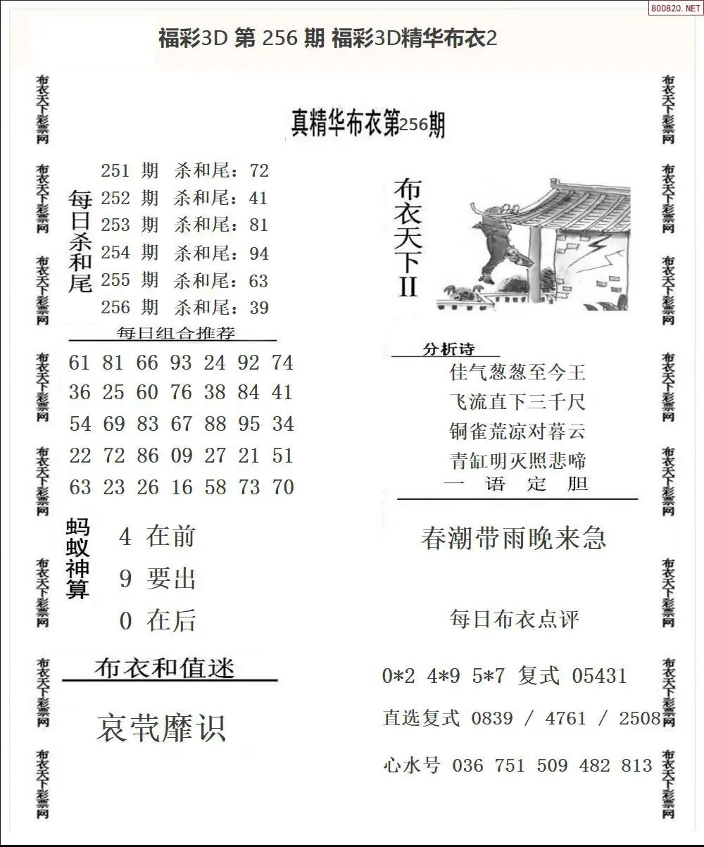 A34精华布衣2