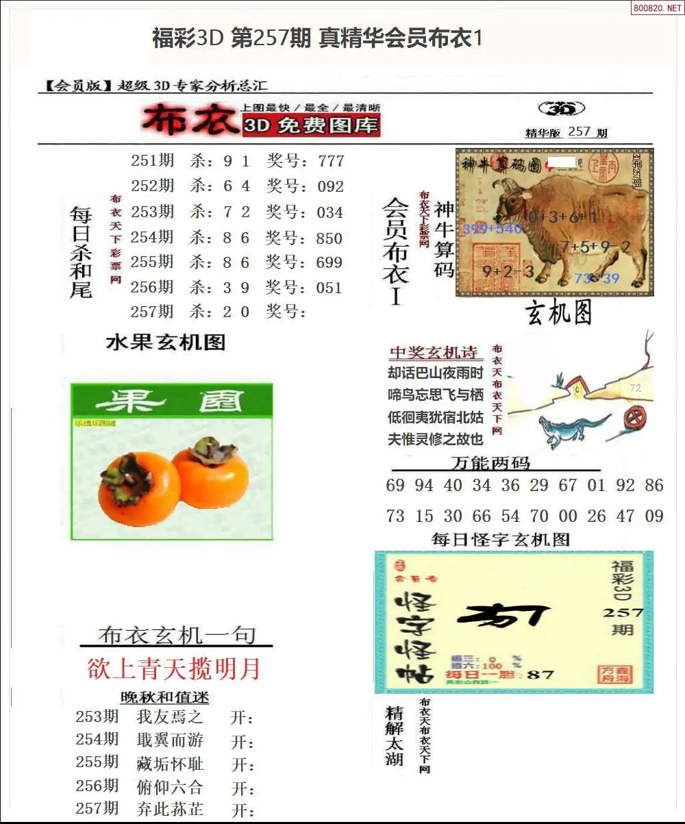 真精华会员布衣1