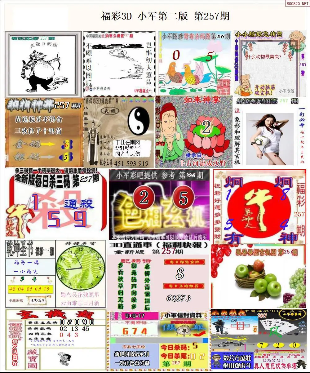 A16小军图打印版B