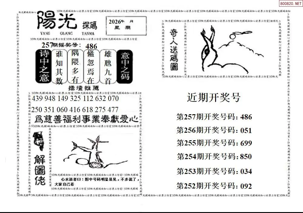 A2123D阳光探码