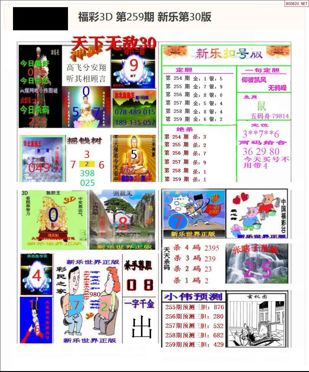 A368新乐报三版