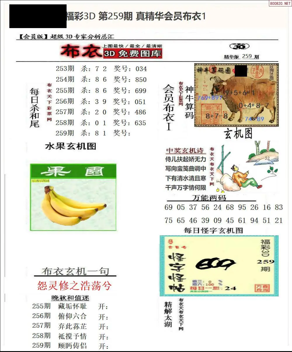 真精华会员布衣1