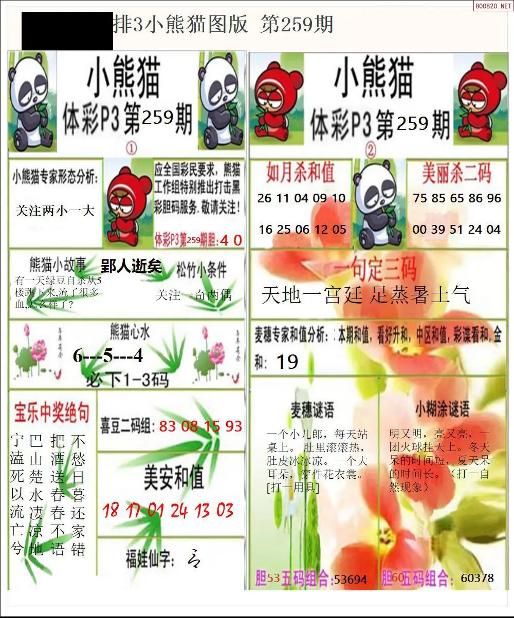 体彩p3小熊猫