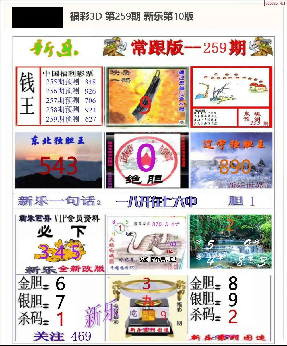 A366新乐报一版