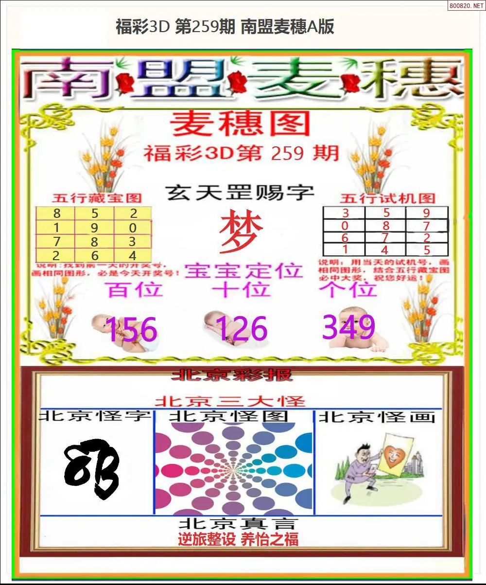A181南盟麦穗A版