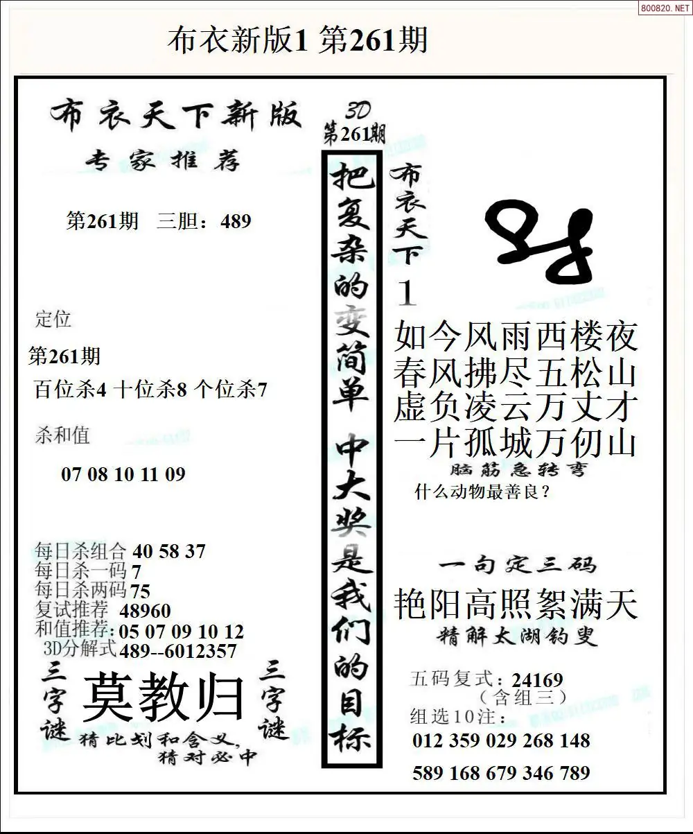 A51新版布衣1