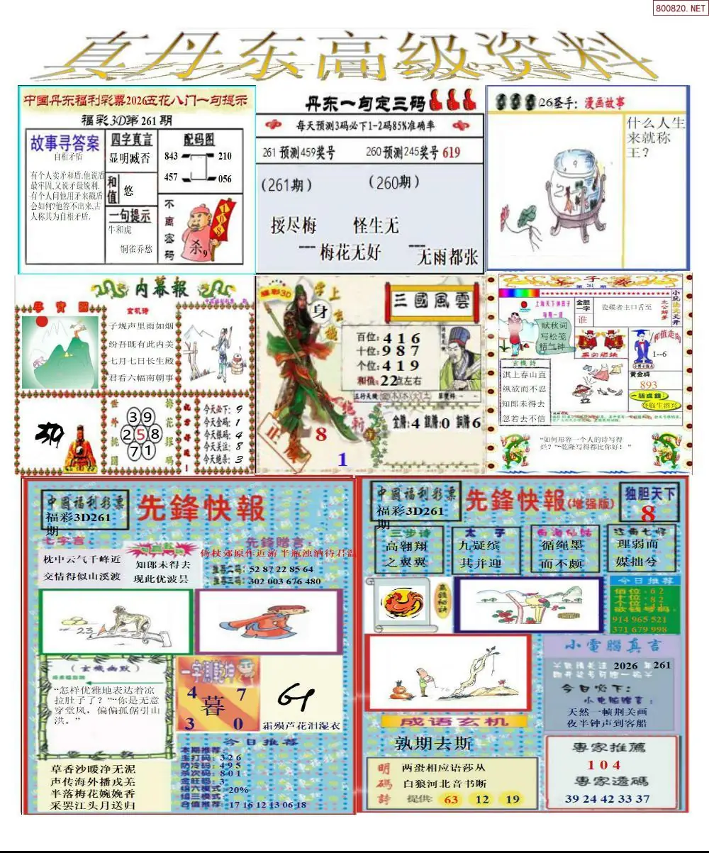 A307真丹东高级资料