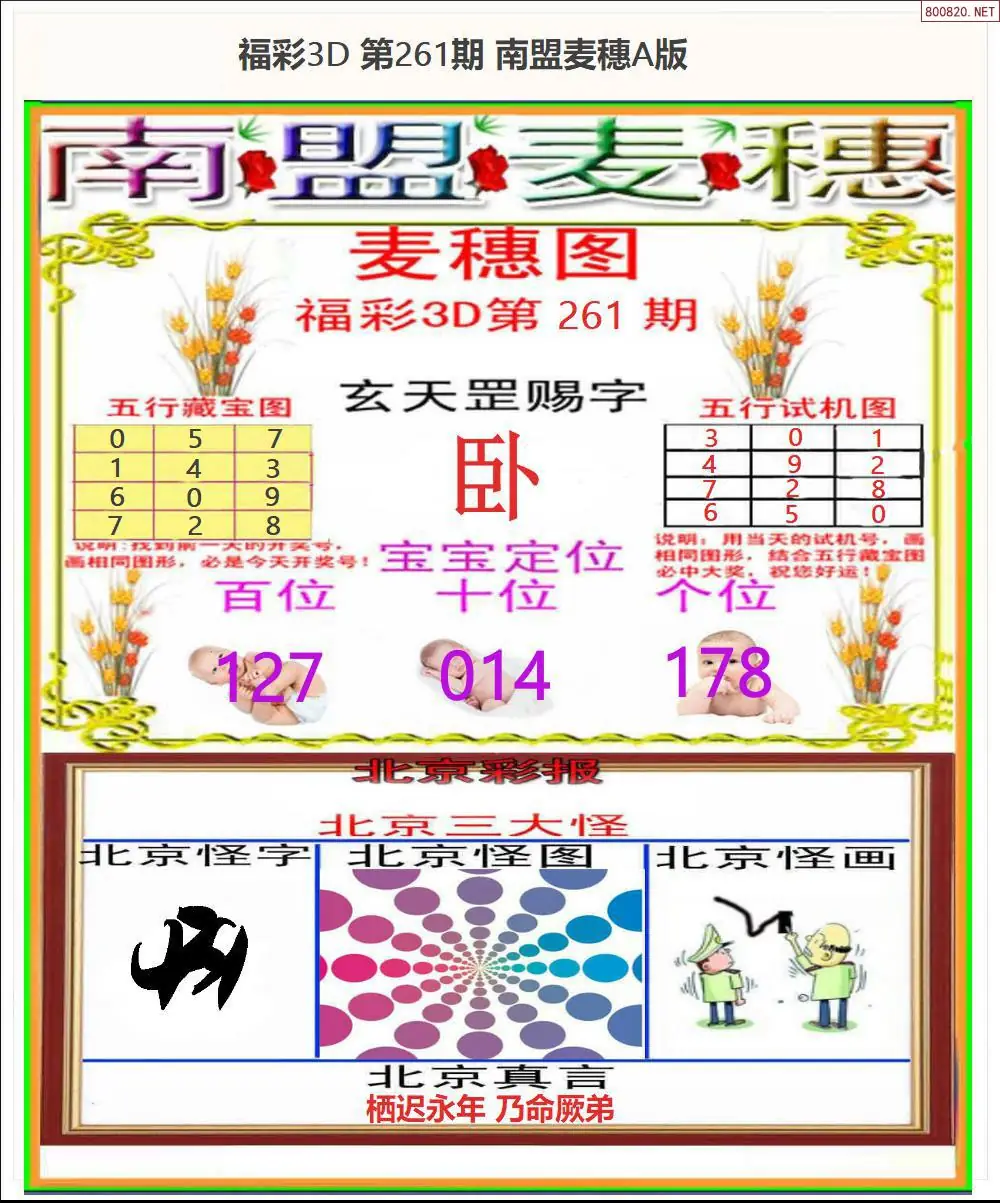 A181南盟麦穗A版
