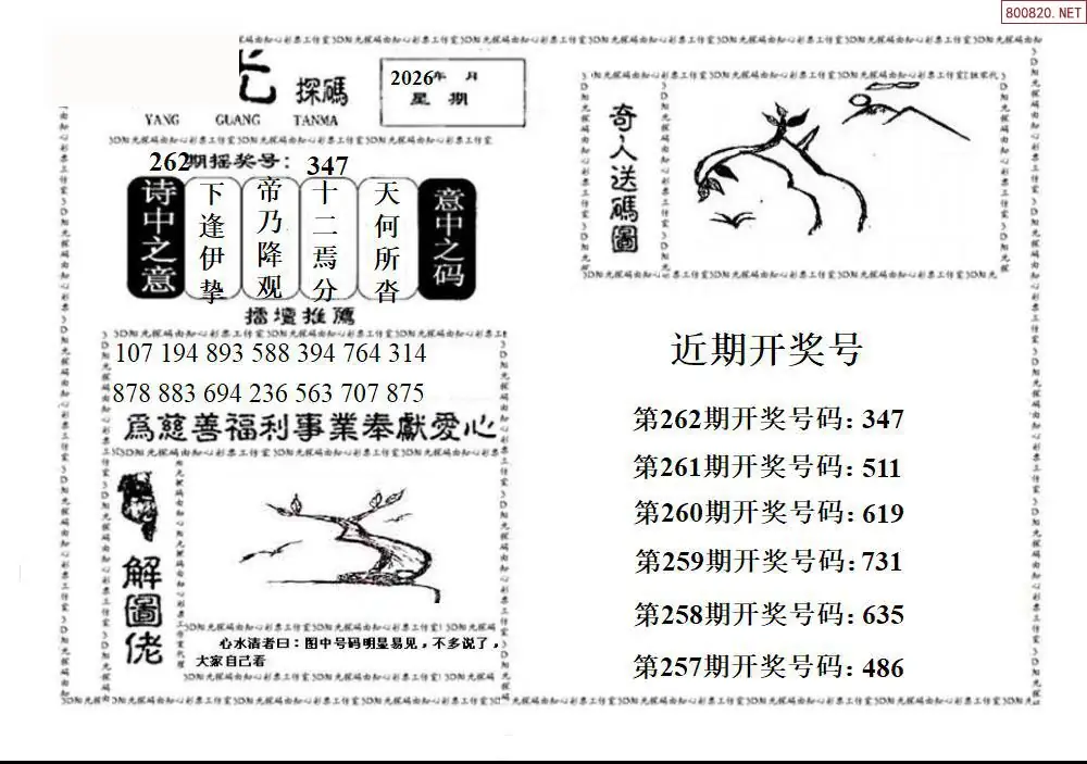 A2123D阳光探码