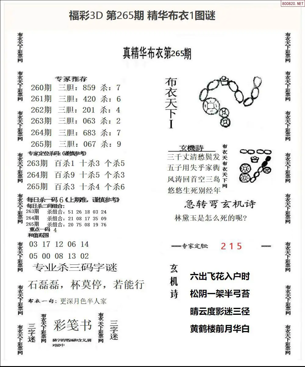 A33精华布衣1