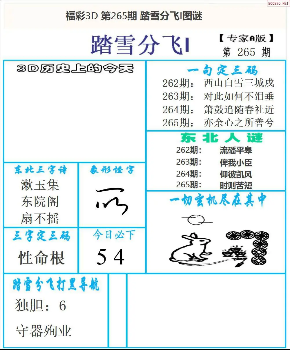 A167东北彩报1版