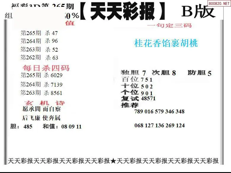 A202天天彩报2版