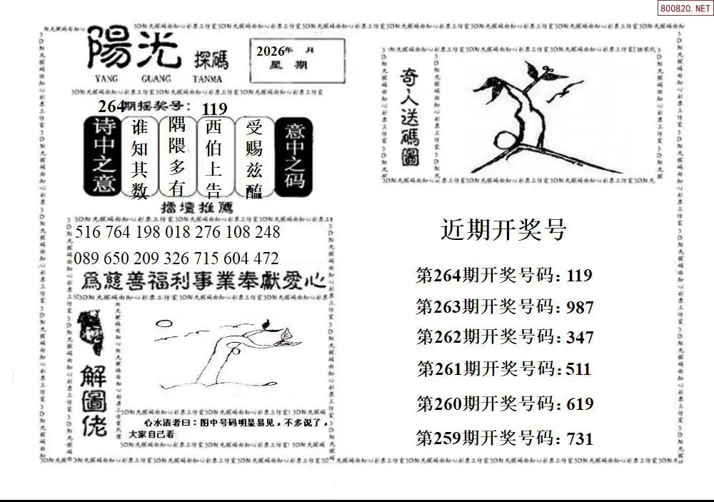 A2123D阳光探码