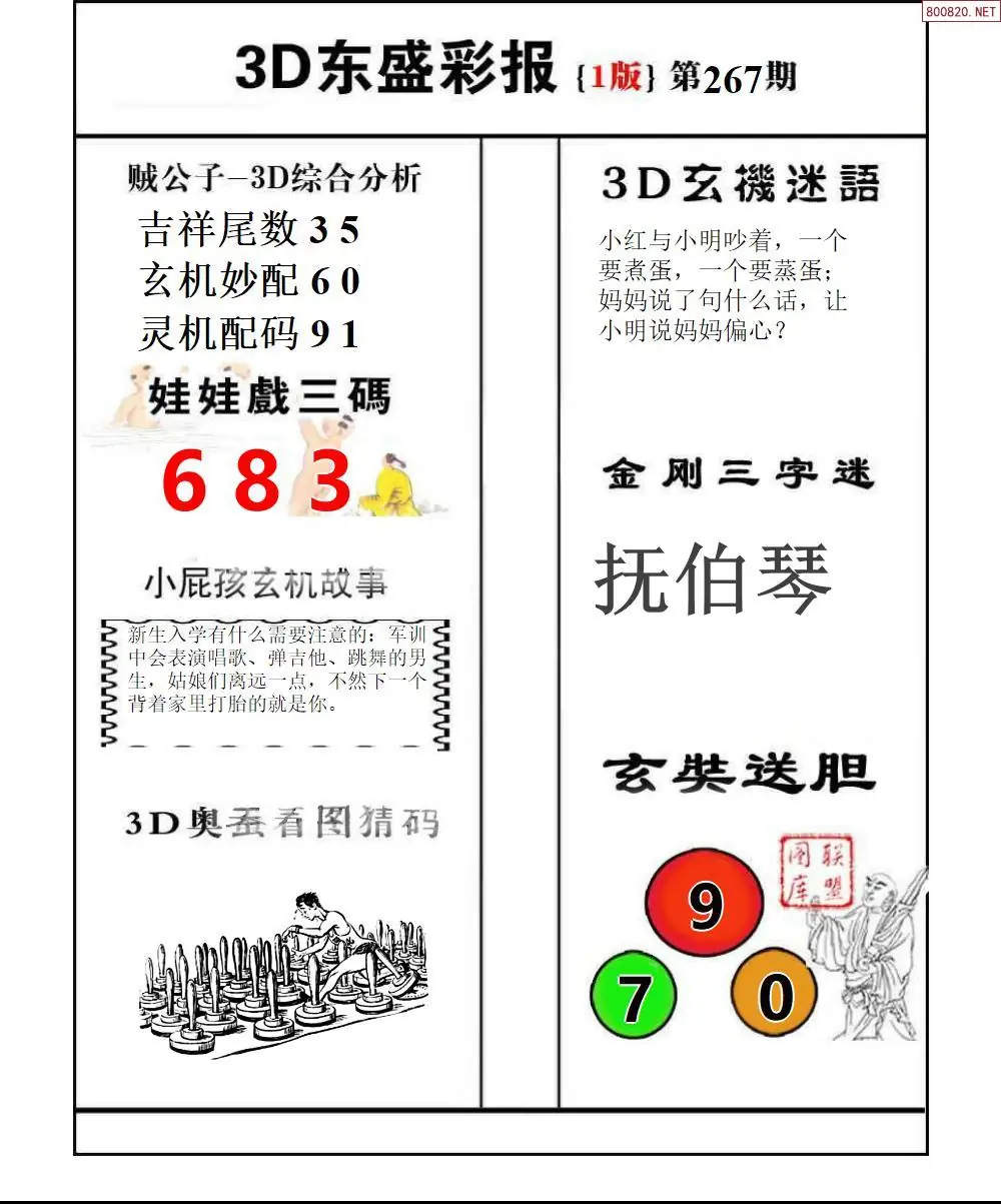 A227东盛彩报1版