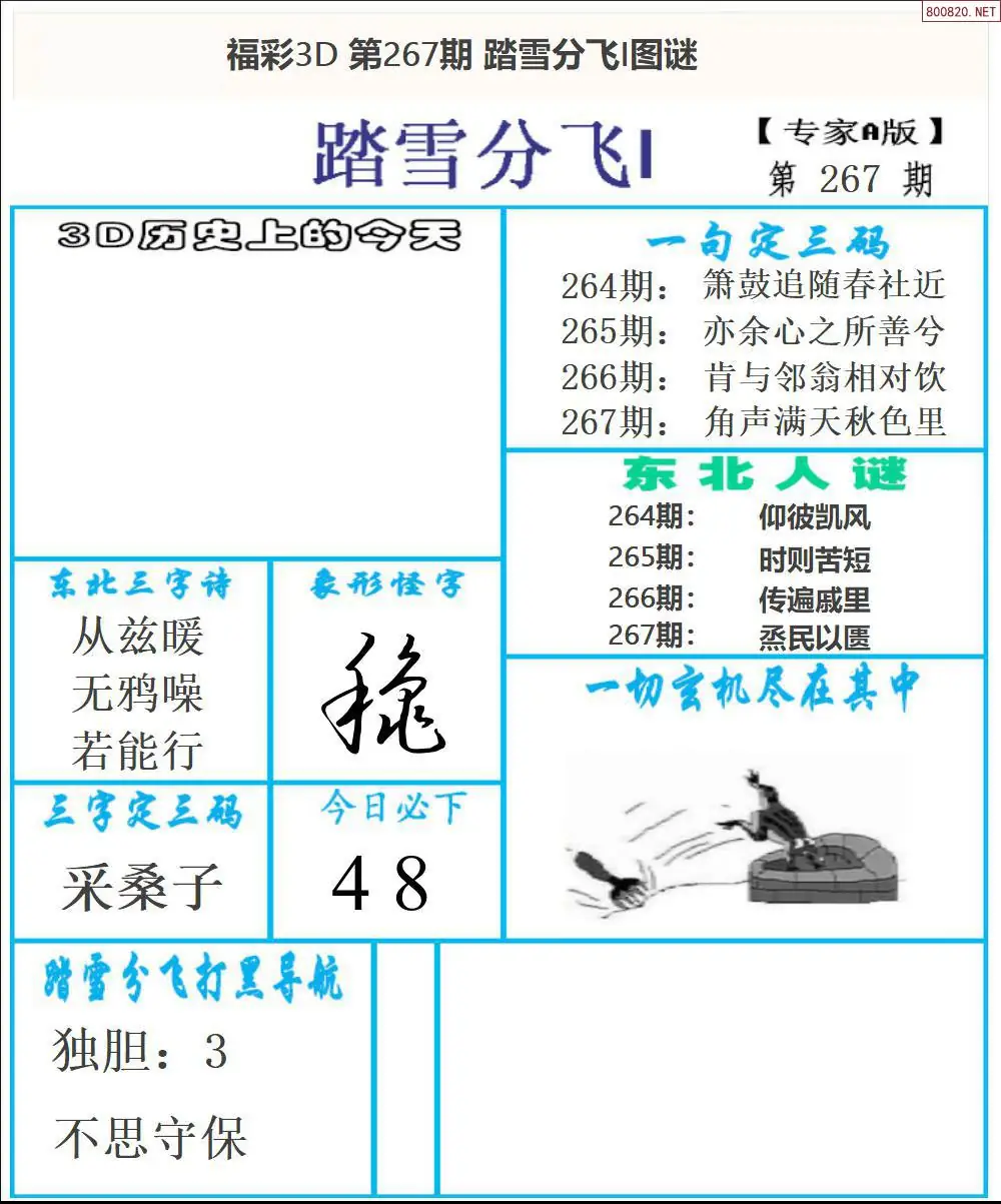 A167东北彩报1版