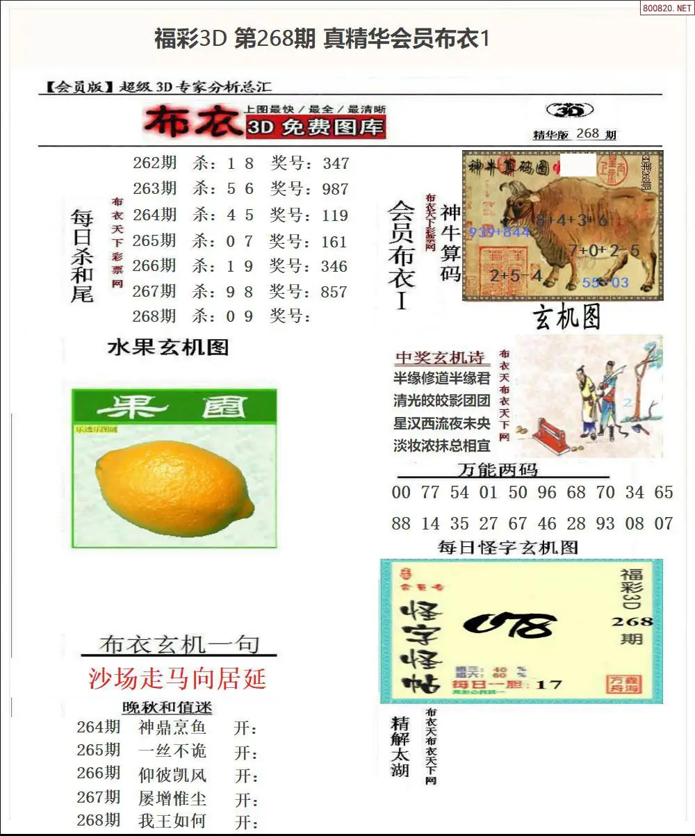 A69真精华会员布衣1