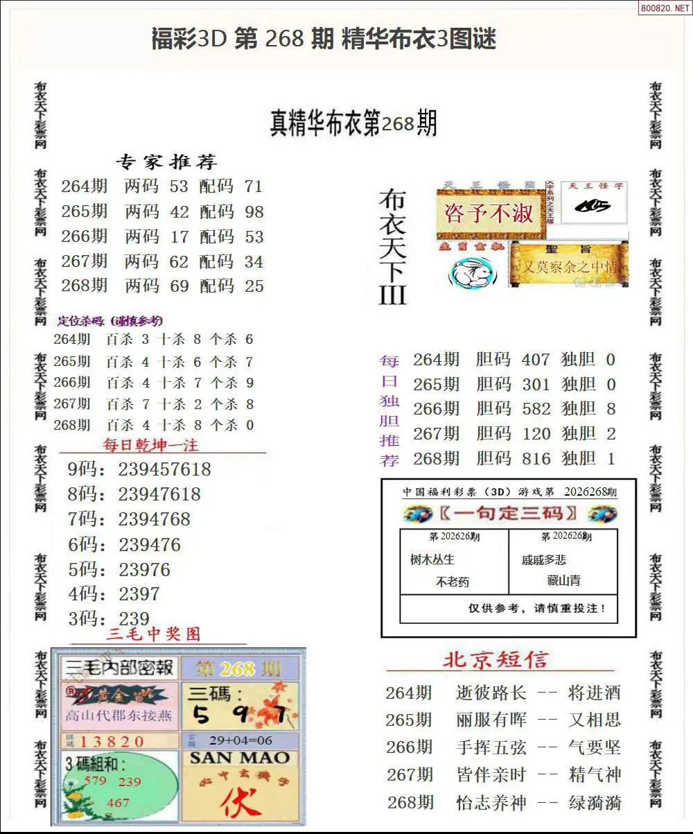A35精华布衣3