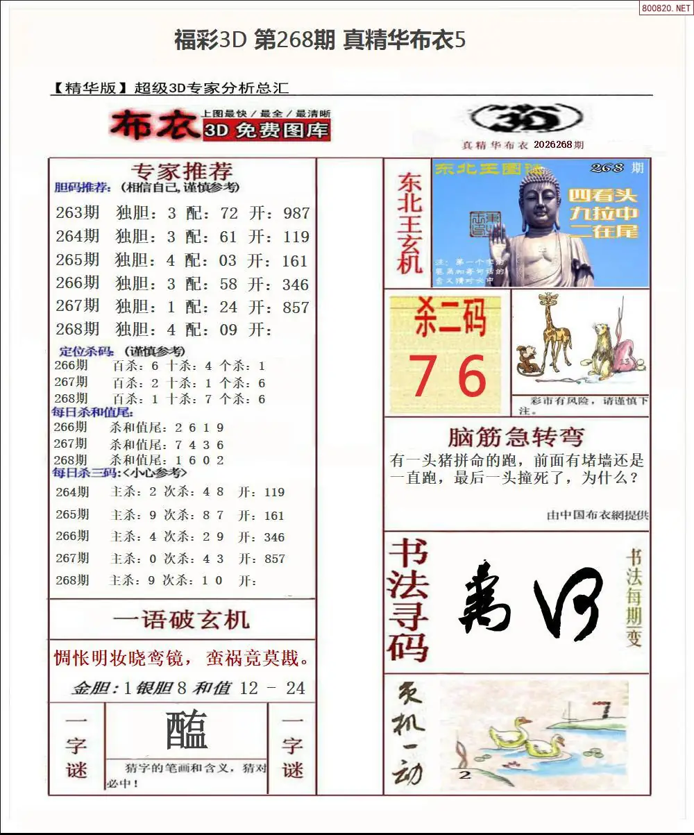A71真精华布衣5
