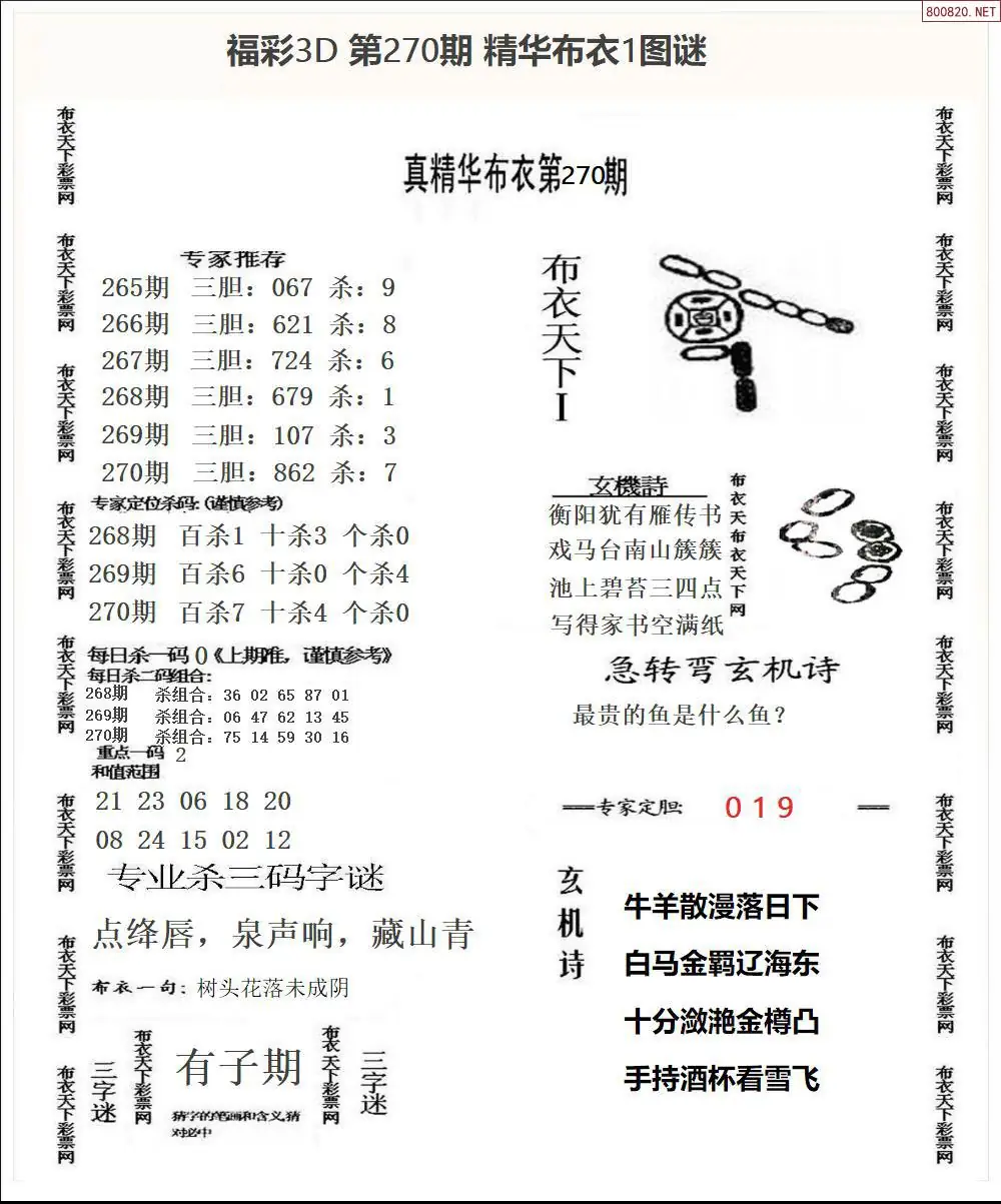 A33精华布衣1