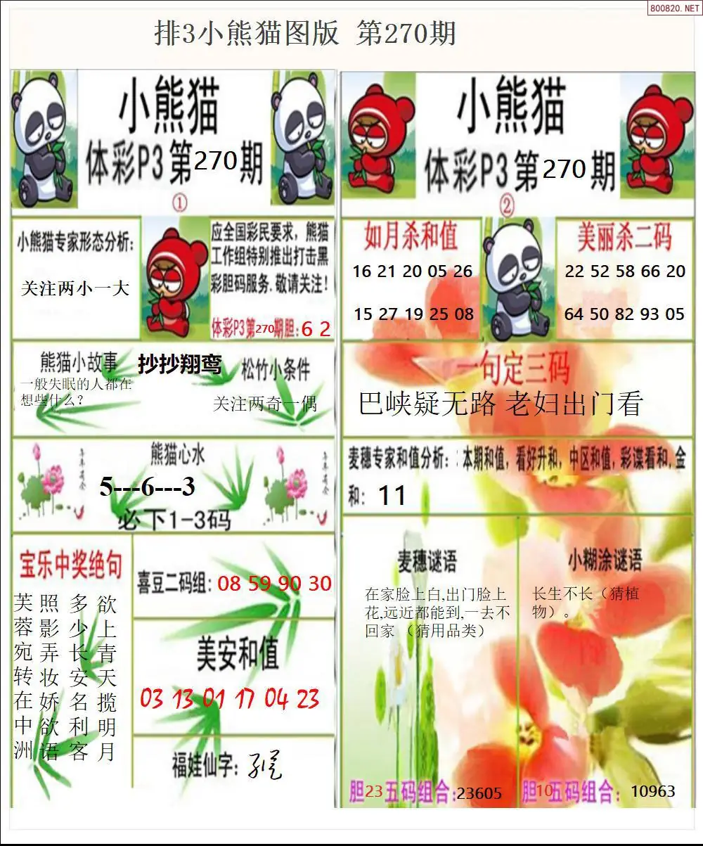 体彩p3小熊猫