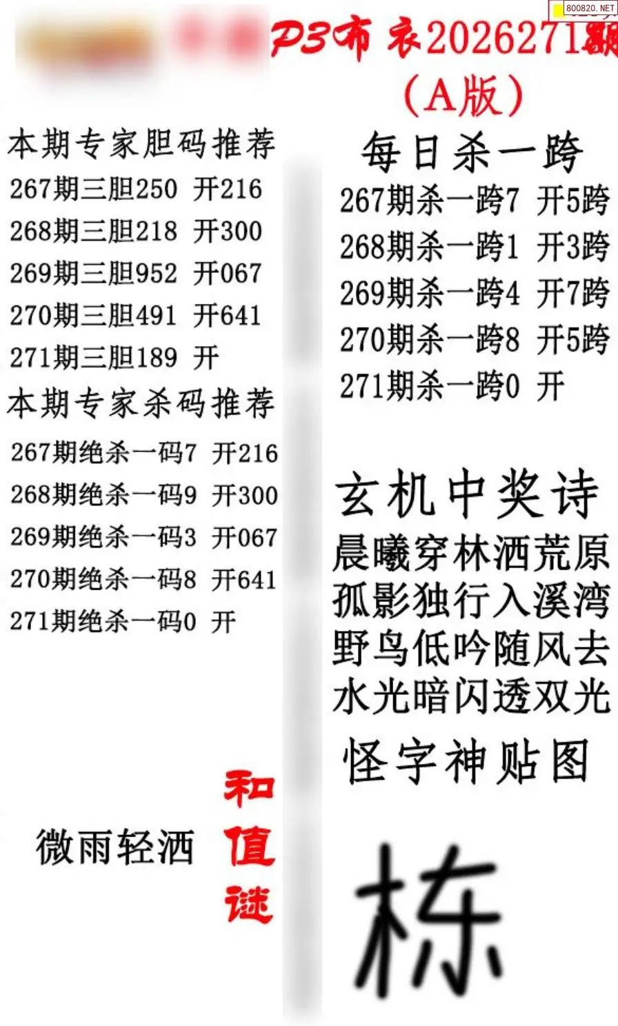 p3牛彩布衣A版