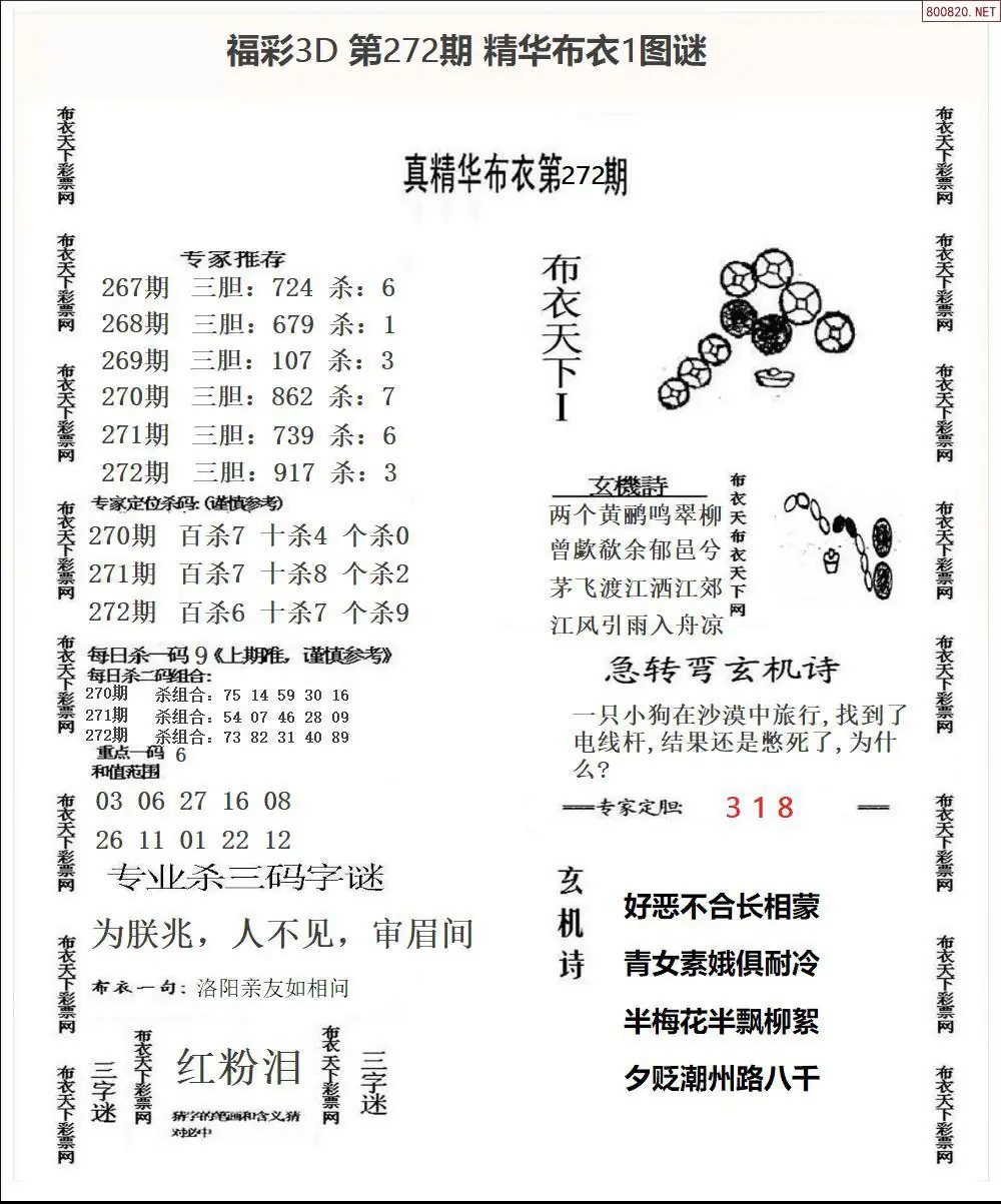 A33精华布衣1