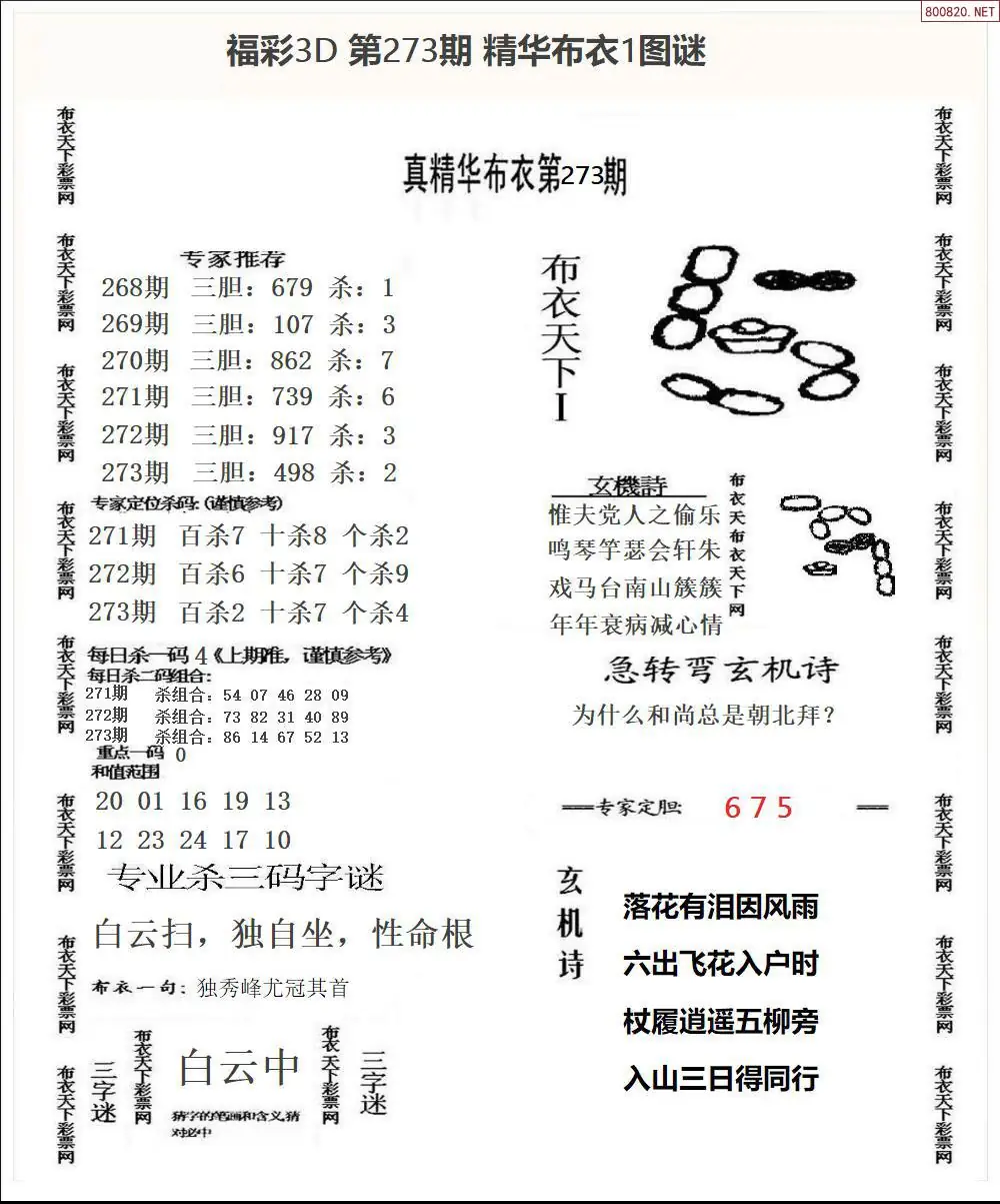 精华布衣1