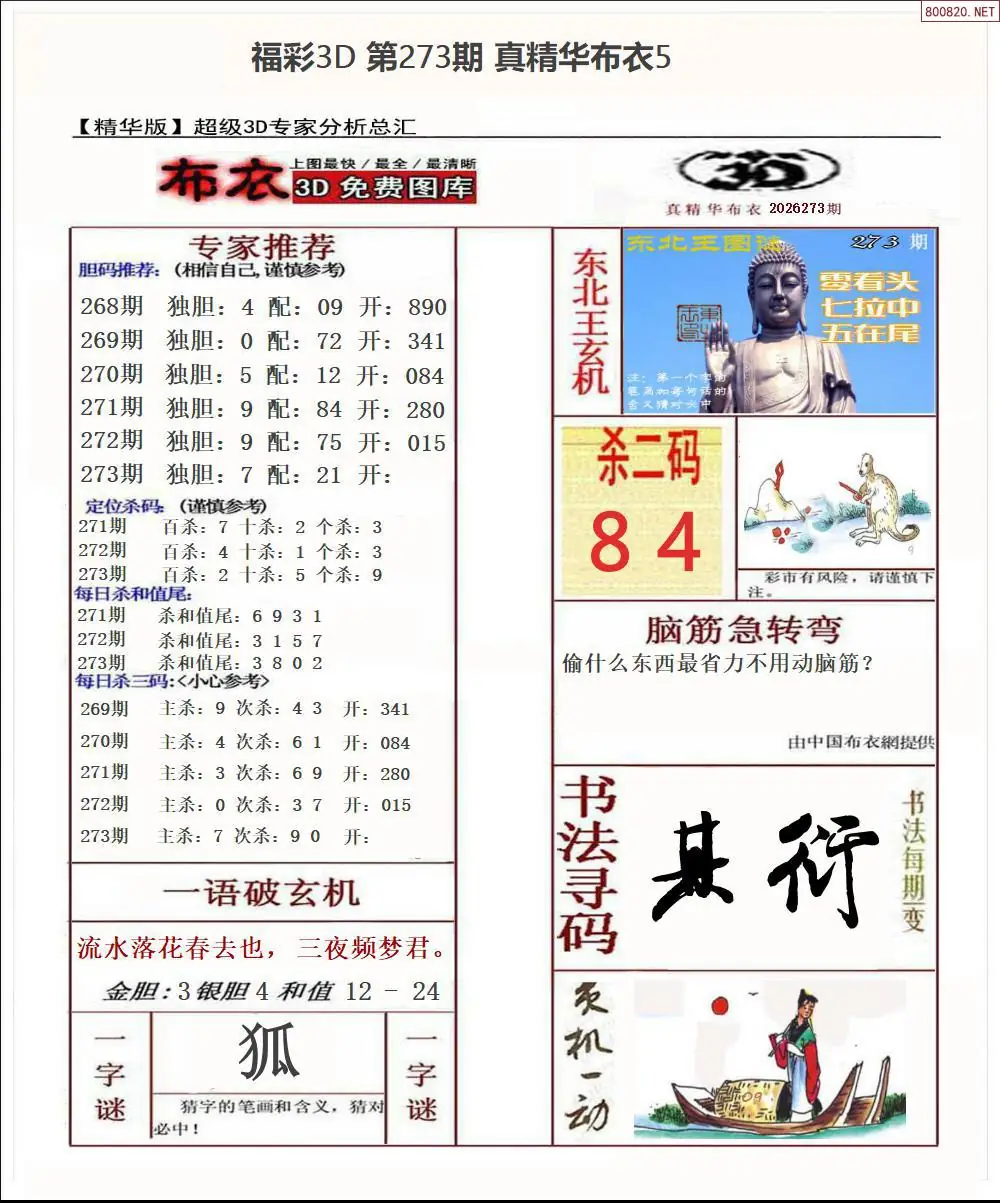 真精华布衣5