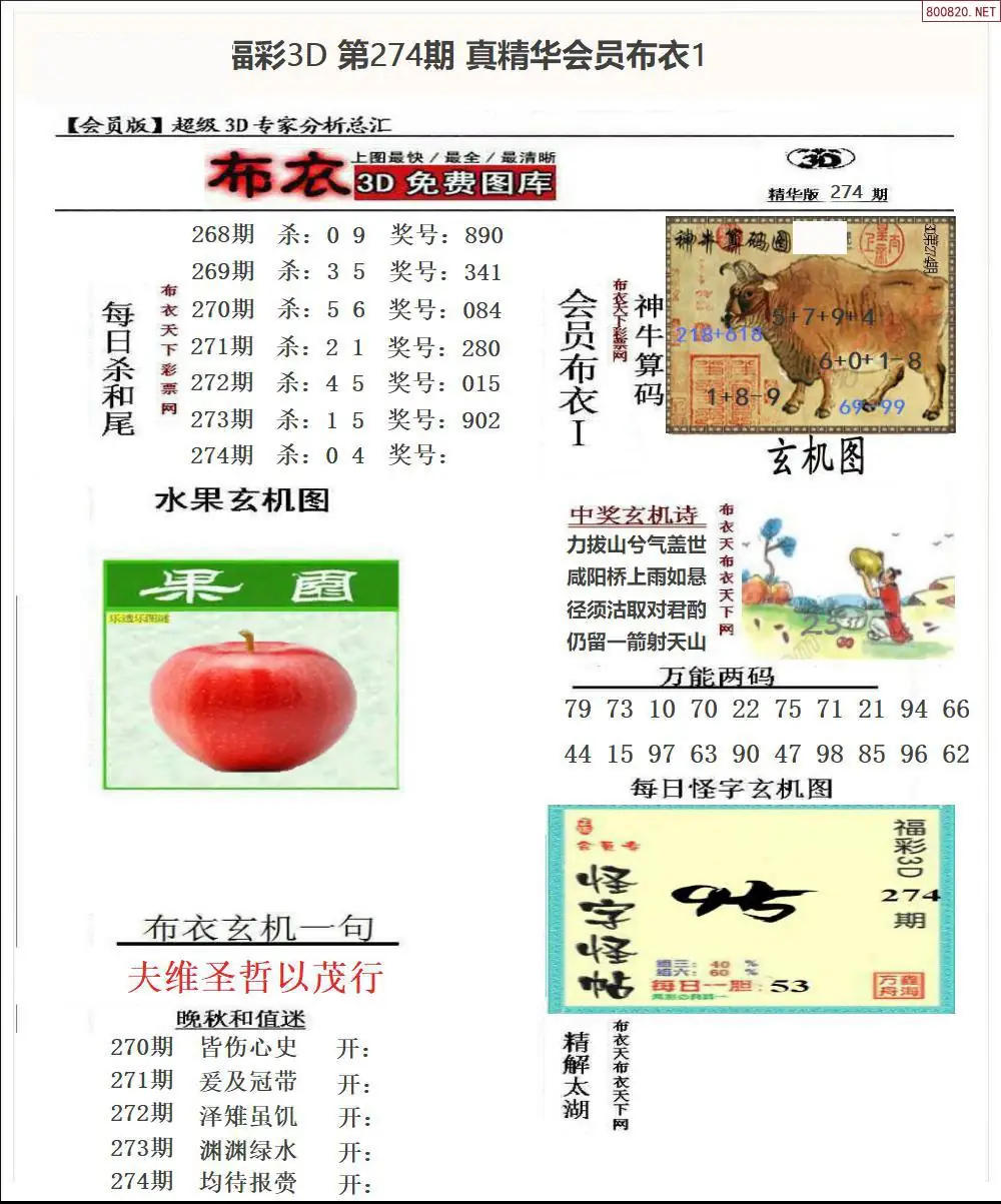 真精华会员布衣1