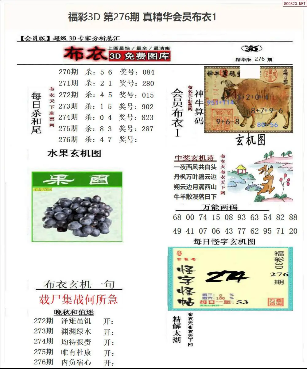 真精华会员布衣1