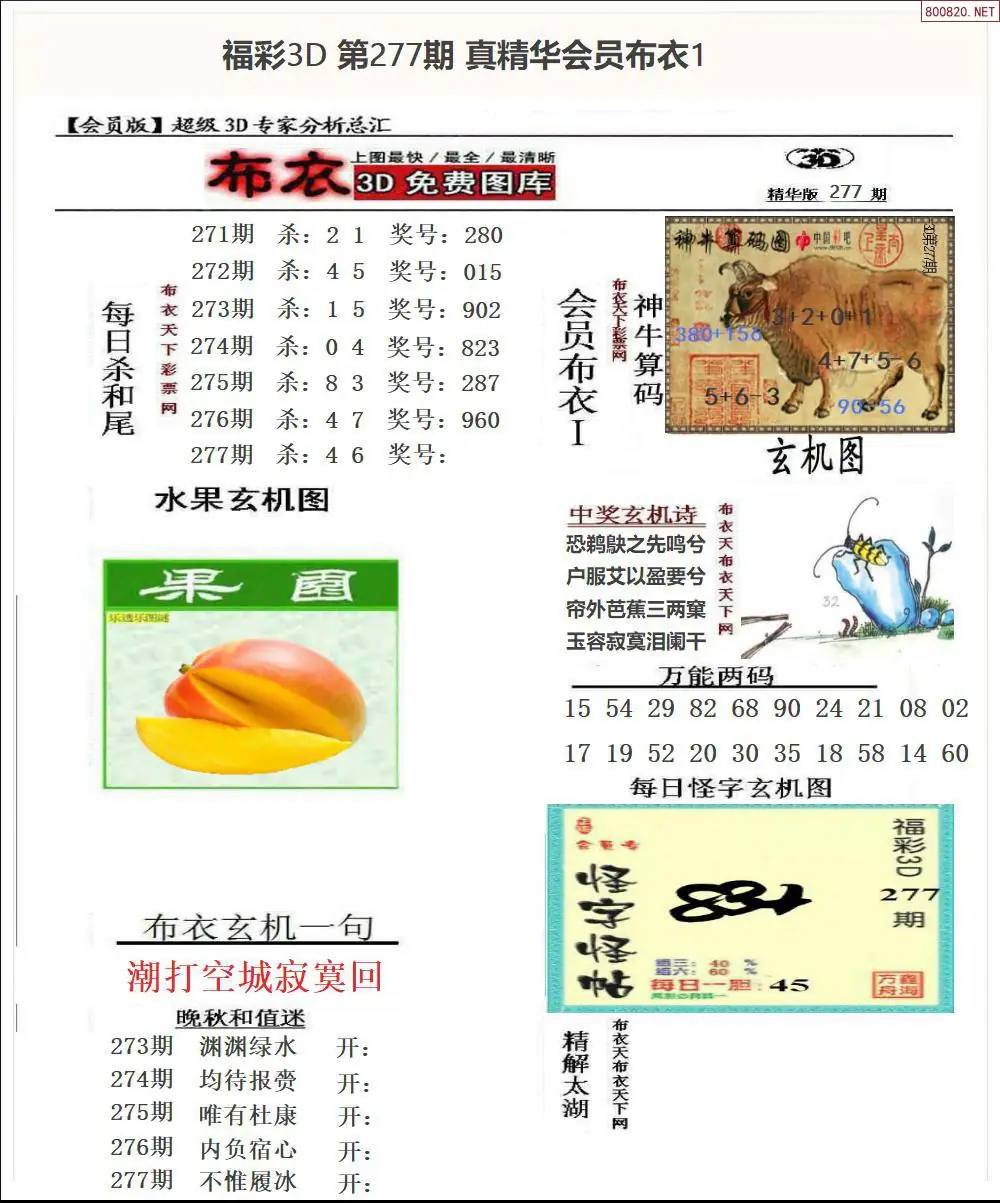 真精华会员布衣1