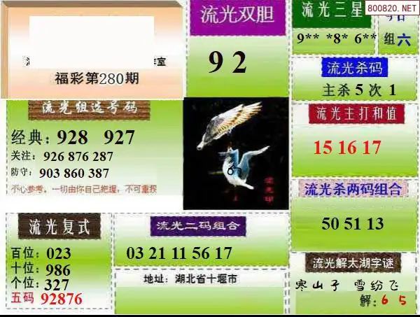 A216流光彩报